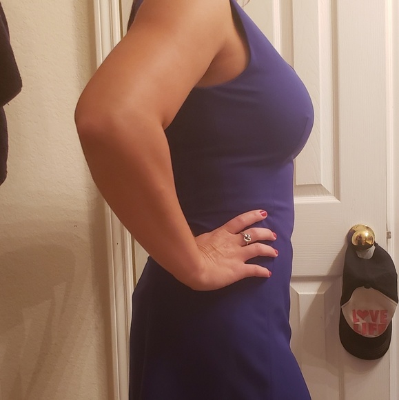 Brand New Antonio Melani Dress - Picture 2 of 4